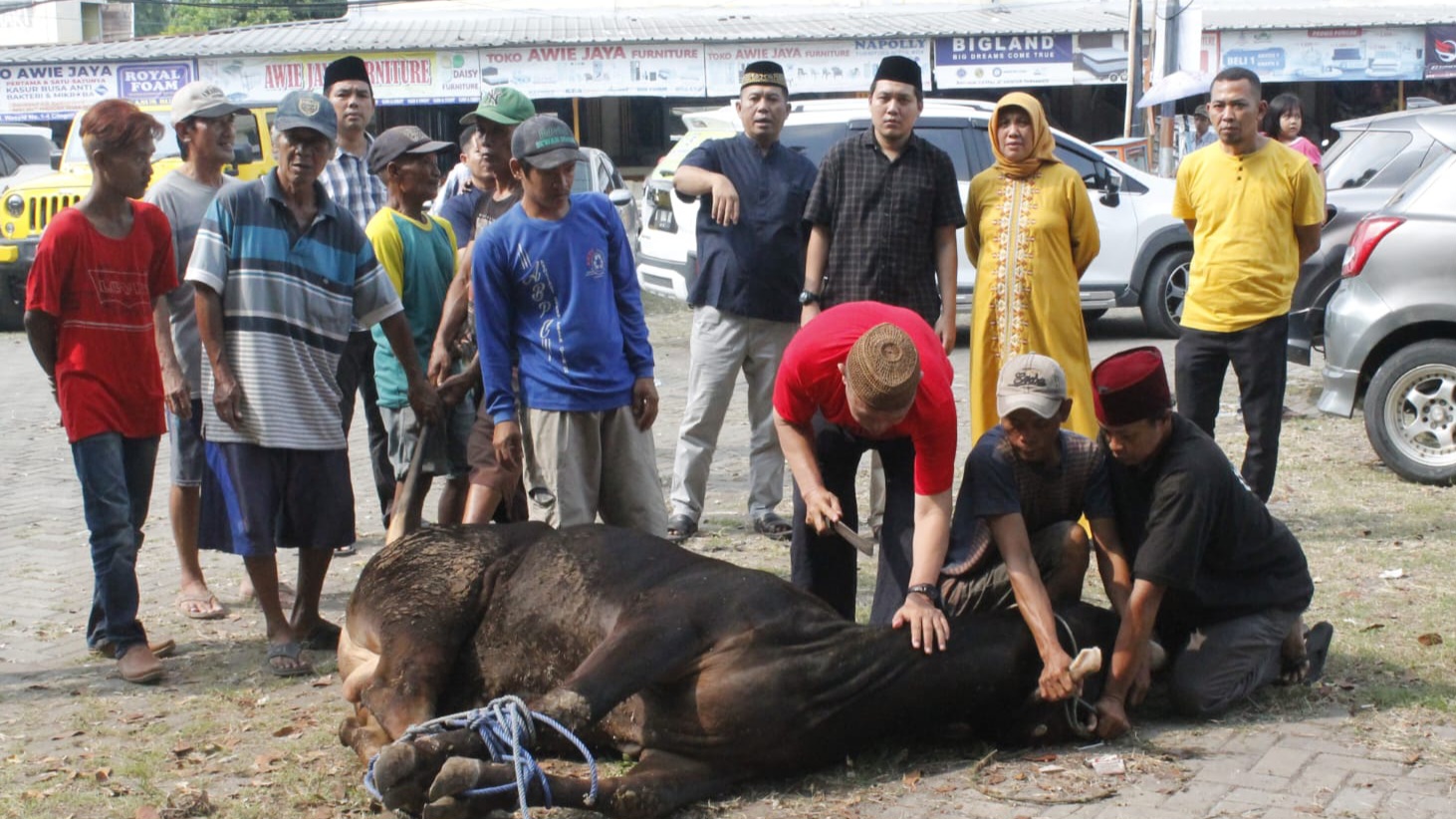 DPD Golkar Cilegon Sembilih Hewan Qurban